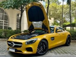 
										Mercedes-AMG GT full									